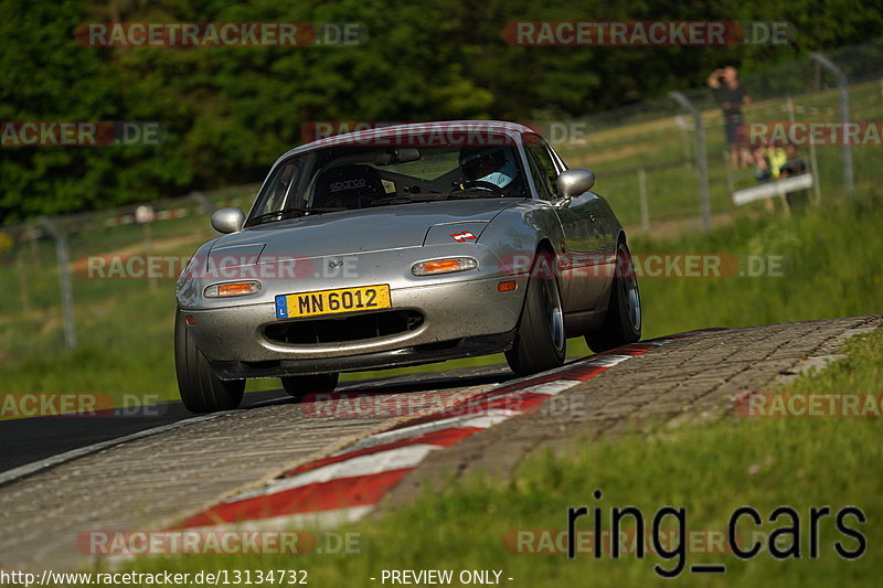 Bild #13134732 - Touristenfahrten Nürburgring Nordschleife (11.06.2021)