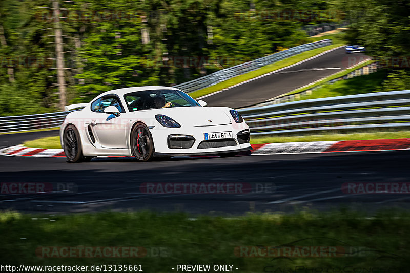 Bild #13135661 - Touristenfahrten Nürburgring Nordschleife (11.06.2021)