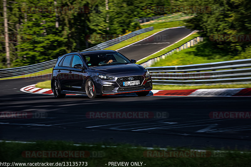 Bild #13135773 - Touristenfahrten Nürburgring Nordschleife (11.06.2021)