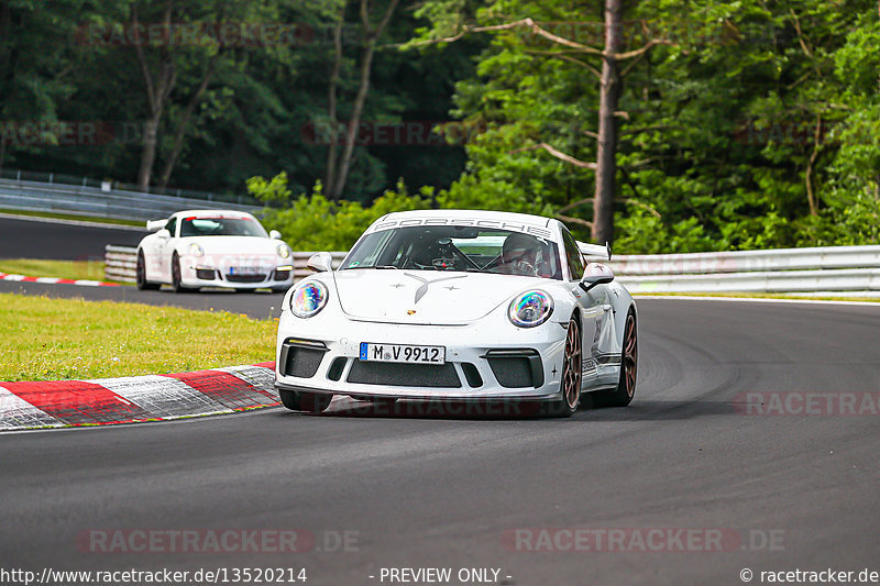 Bild #13520214 - Manthey-Racing Nordschleifen Trackday (28.6.2021)