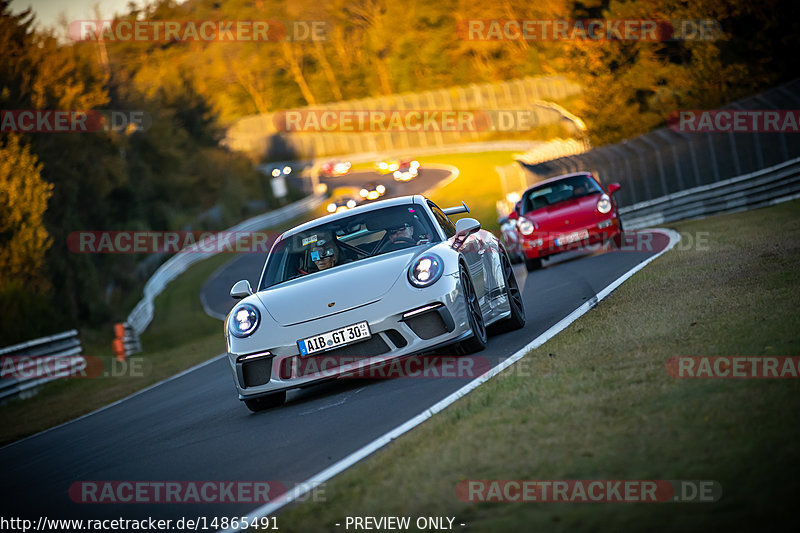 Bild #14865491 - 60 Jahre Porsche Club Nürburgring (Corso/Weltrekordversuch)