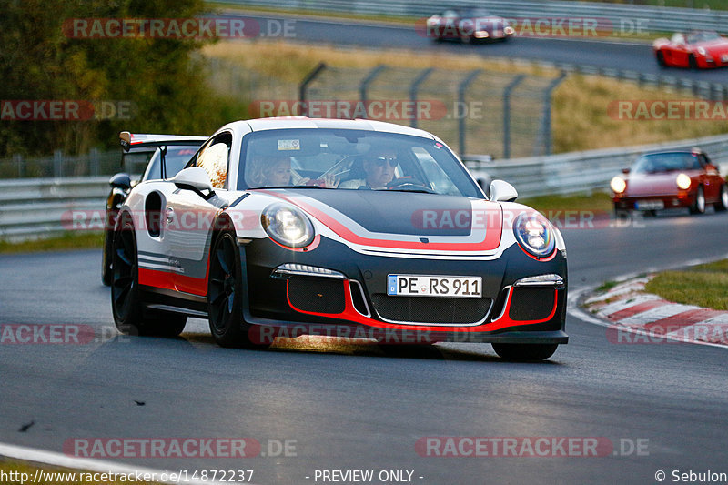 Bild #14872237 - 60 Jahre Porsche Club Nürburgring (Corso/Weltrekordversuch)