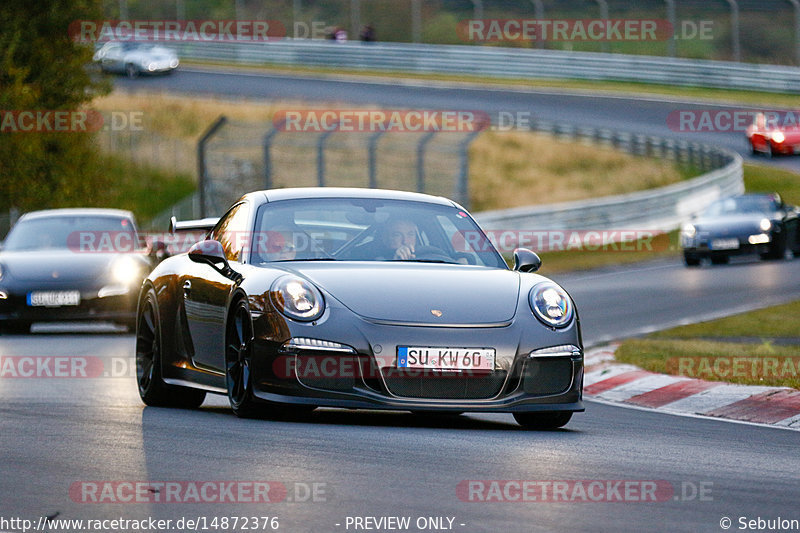 Bild #14872376 - 60 Jahre Porsche Club Nürburgring (Corso/Weltrekordversuch)