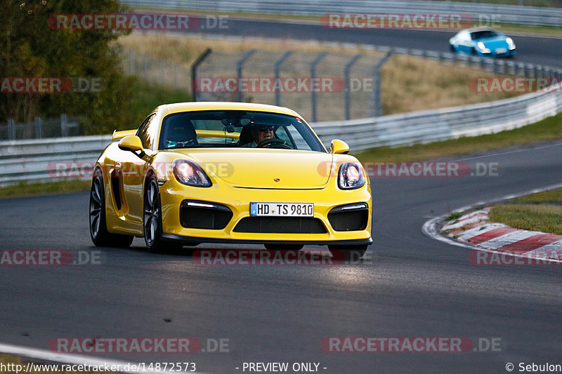 Bild #14872573 - 60 Jahre Porsche Club Nürburgring (Corso/Weltrekordversuch)