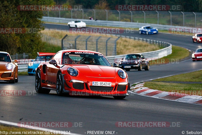 Bild #14873804 - 60 Jahre Porsche Club Nürburgring (Corso/Weltrekordversuch)