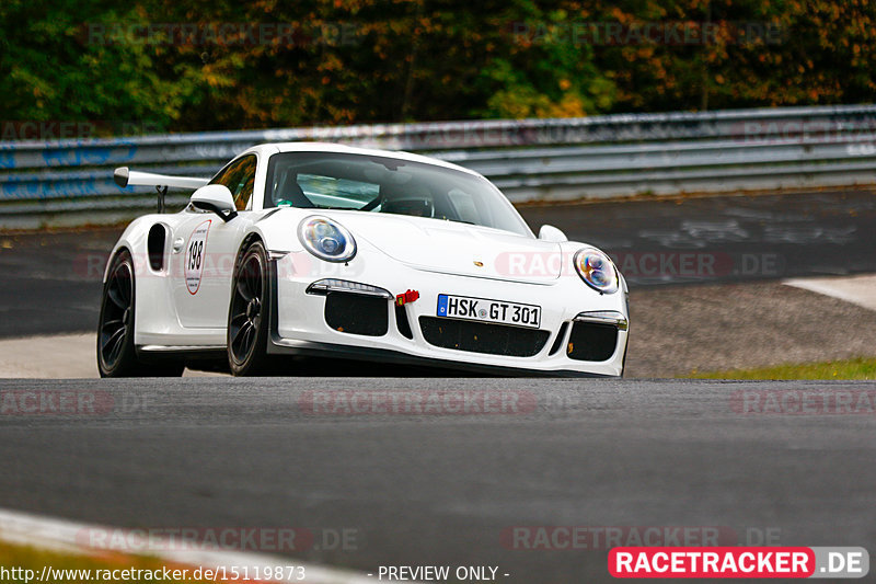 Bild #15119873 - Manthey-Racing Nordschleifen Trackday (18.10.2021)