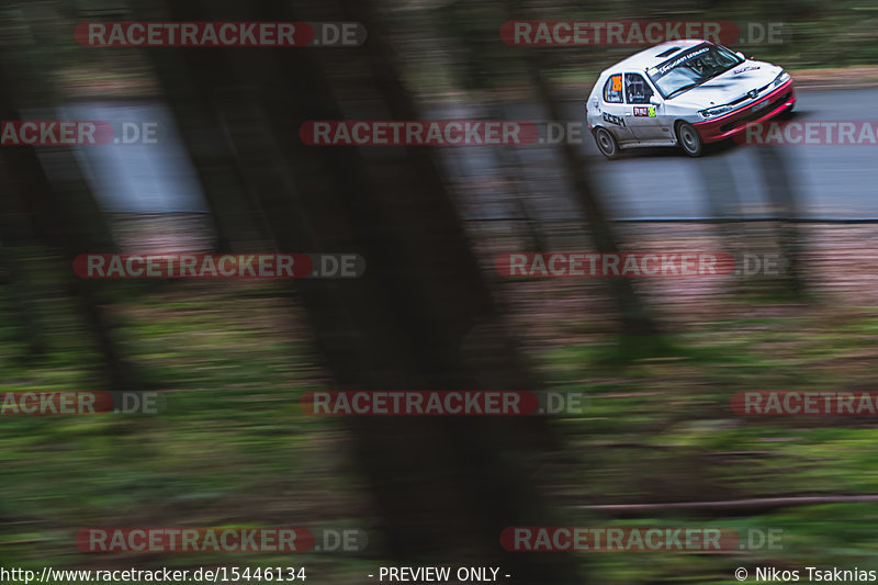 Bild #15446134 - Spa Rally 2021