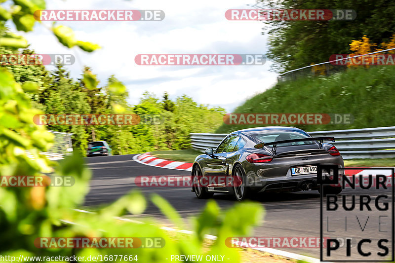 Bild #16877664 - Touristenfahrten Nürburgring Nordschleife (21.05.2022)