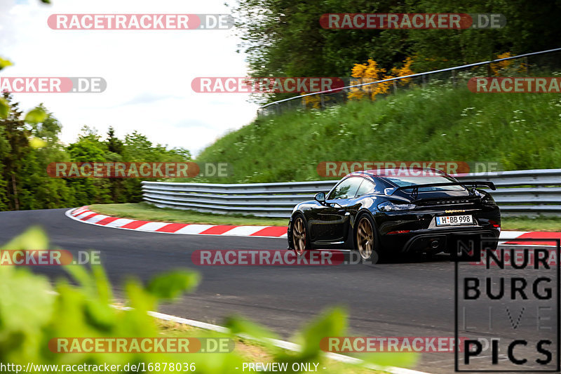 Bild #16878036 - Touristenfahrten Nürburgring Nordschleife (21.05.2022)