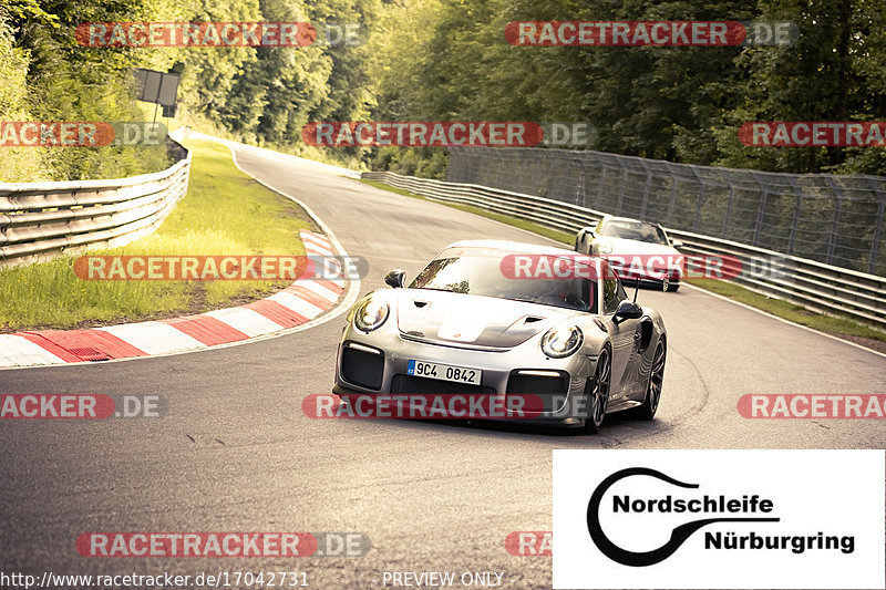 Bild #17042731 - Touristenfahrten Nürburgring Nordschleife (09.06.2022)