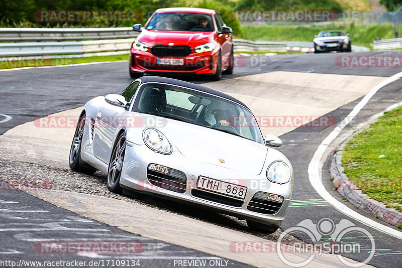 Bild #17109134 - Touristenfahrten Nürburgring Nordschleife (11.06.2022)