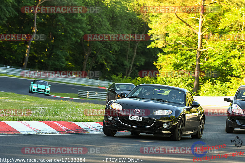 Bild #17133384 - Touristenfahrten Nürburgring Nordschleife (12.06.2022)