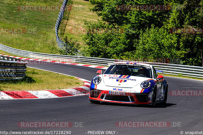 Bild #17228290 - Touristenfahrten Nürburgring Nordschleife (16.06.2022)