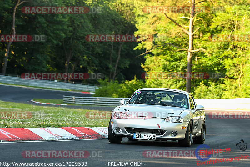 Bild #17229533 - Touristenfahrten Nürburgring Nordschleife (16.06.2022)