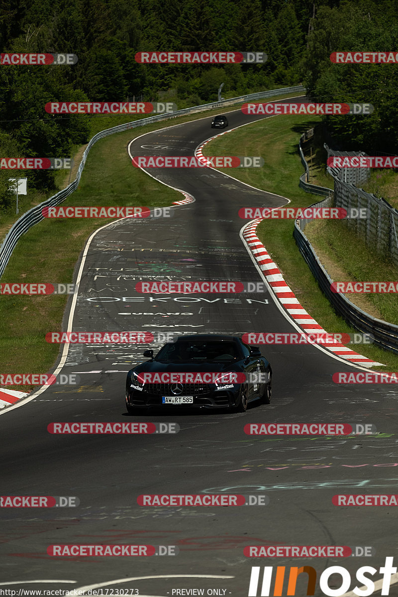 Bild #17230273 - Touristenfahrten Nürburgring Nordschleife (16.06.2022)