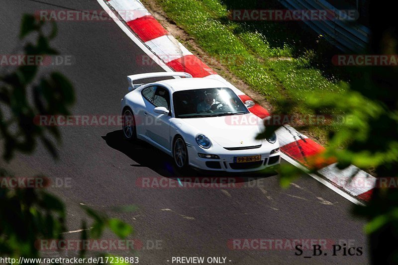 Bild #17239883 - Touristenfahrten Nürburgring Nordschleife (16.06.2022)