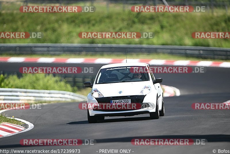 Bild #17239973 - Touristenfahrten Nürburgring Nordschleife (16.06.2022)