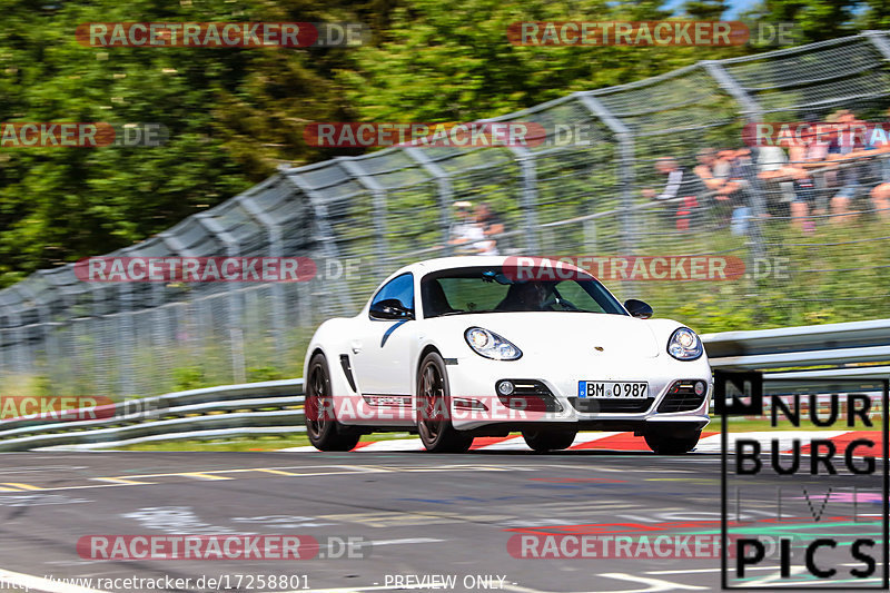 Bild #17258801 - Touristenfahrten Nürburgring Nordschleife (16.06.2022)