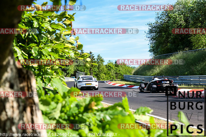 Bild #17264042 - Touristenfahrten Nürburgring Nordschleife (16.06.2022)