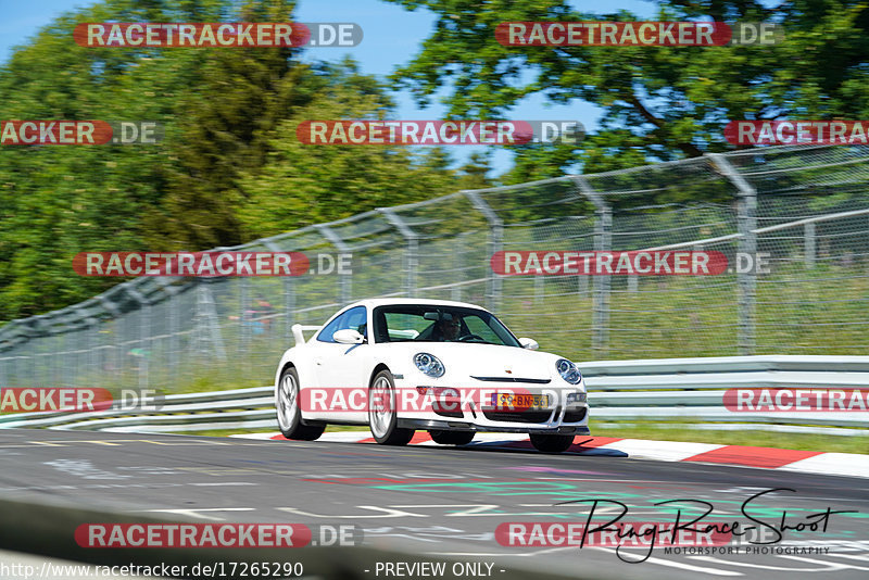 Bild #17265290 - Touristenfahrten Nürburgring Nordschleife (16.06.2022)