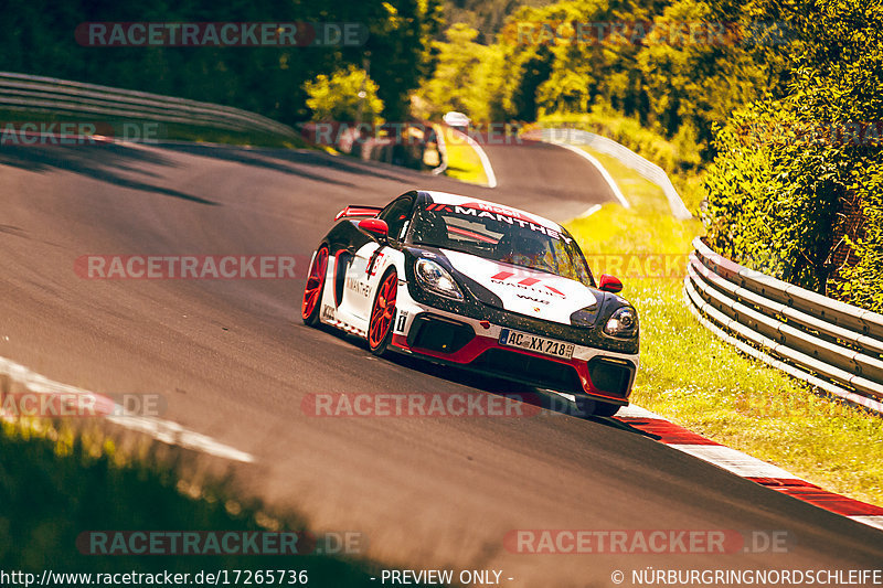 Bild #17265736 - Touristenfahrten Nürburgring Nordschleife (16.06.2022)