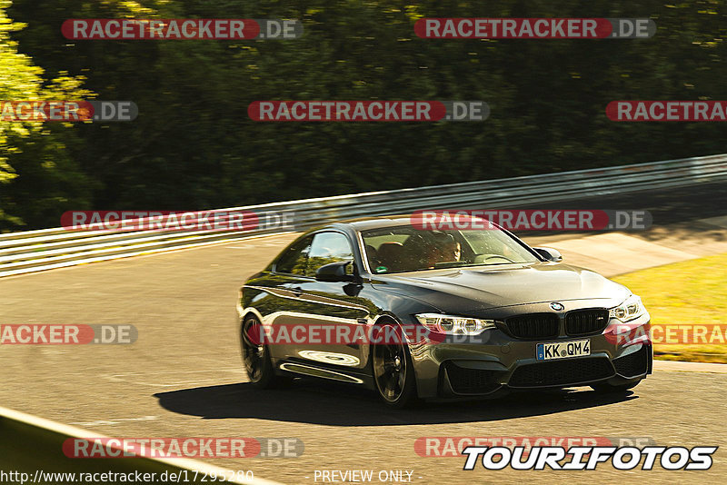 Bild #17295280 - Touristenfahrten Nürburgring Nordschleife (16.06.2022)