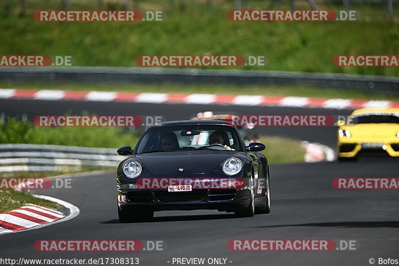 Bild #17308313 - Touristenfahrten Nürburgring Nordschleife (17.06.2022)