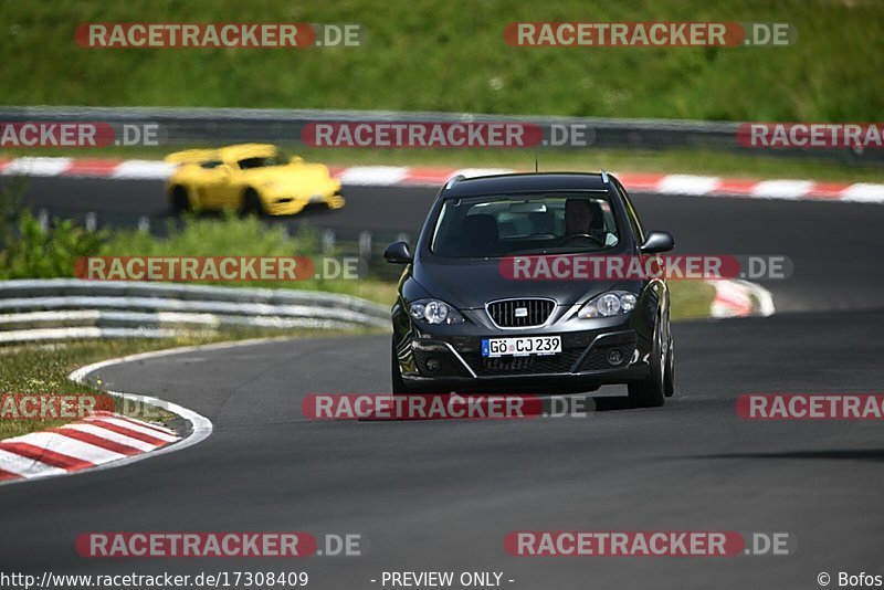 Bild #17308409 - Touristenfahrten Nürburgring Nordschleife (17.06.2022)