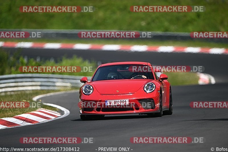 Bild #17308412 - Touristenfahrten Nürburgring Nordschleife (17.06.2022)