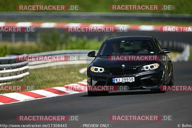 Bild #17308445 - Touristenfahrten Nürburgring Nordschleife (17.06.2022)