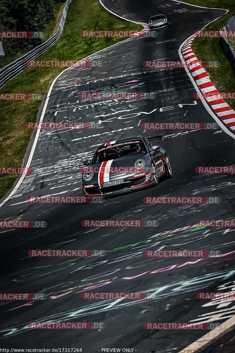 Bild #17317264 - Touristenfahrten Nürburgring Nordschleife (17.06.2022)