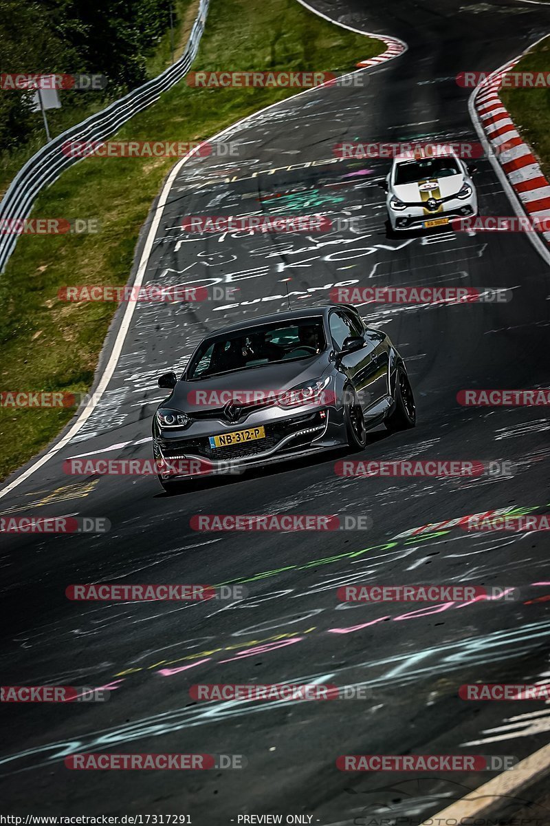 Bild #17317291 - Touristenfahrten Nürburgring Nordschleife (17.06.2022)