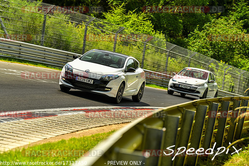 Bild #17317450 - Touristenfahrten Nürburgring Nordschleife (17.06.2022)