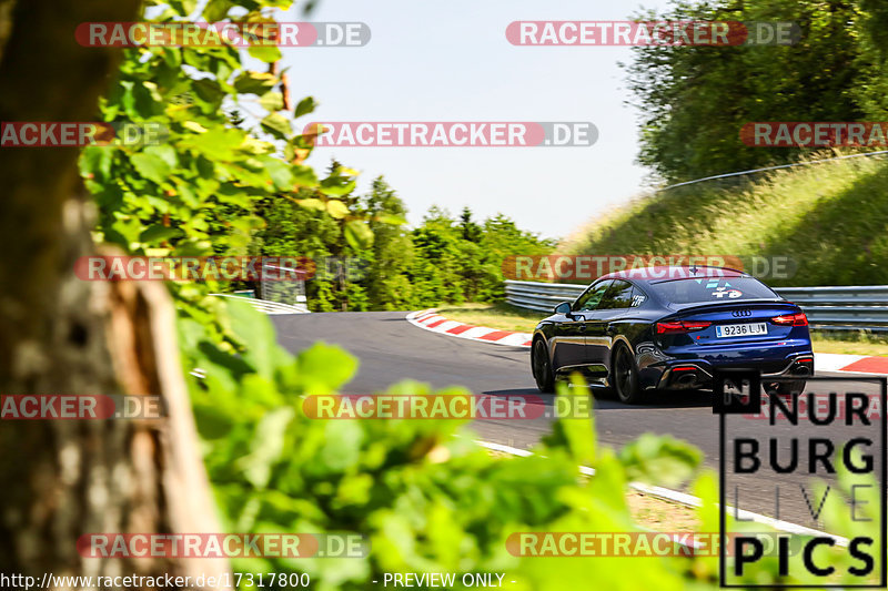 Bild #17317800 - Touristenfahrten Nürburgring Nordschleife (17.06.2022)