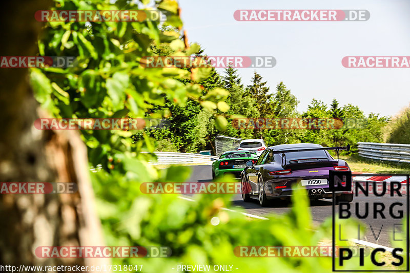 Bild #17318047 - Touristenfahrten Nürburgring Nordschleife (17.06.2022)