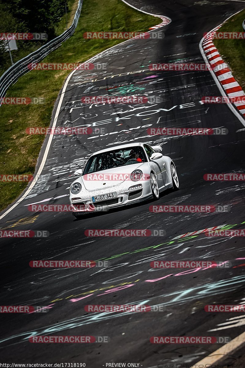 Bild #17318190 - Touristenfahrten Nürburgring Nordschleife (17.06.2022)