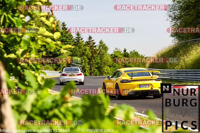 Bild #17318668 - Touristenfahrten Nürburgring Nordschleife (17.06.2022)