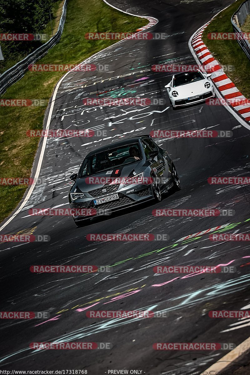 Bild #17318768 - Touristenfahrten Nürburgring Nordschleife (17.06.2022)