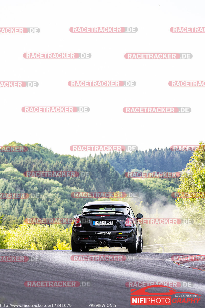 Bild #17341079 - Touristenfahrten Nürburgring Nordschleife (17.06.2022)