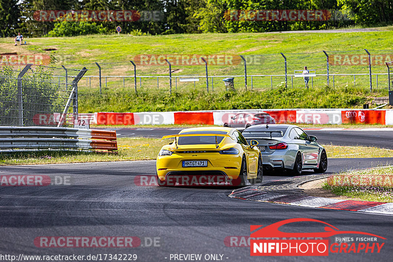 Bild #17342229 - Touristenfahrten Nürburgring Nordschleife (17.06.2022)