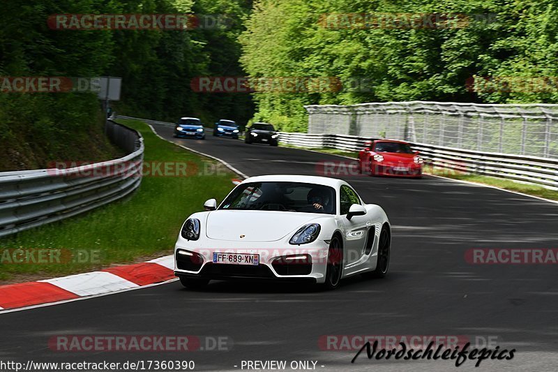 Bild #17360390 - Touristenfahrten Nürburgring Nordschleife (18.06.2022)