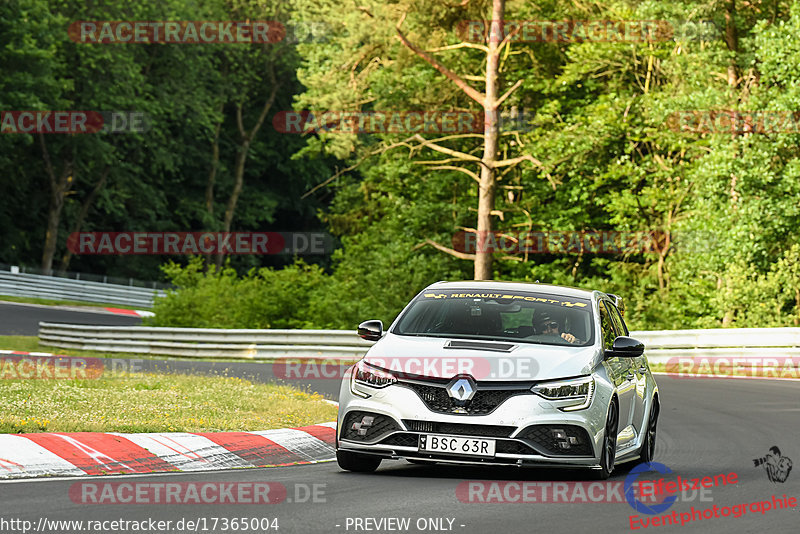 Bild #17365004 - Touristenfahrten Nürburgring Nordschleife (18.06.2022)