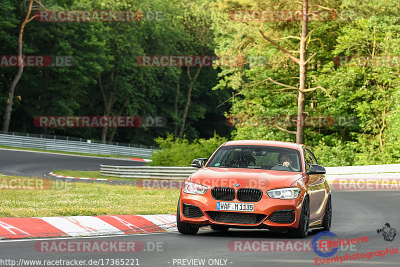 Bild #17365221 - Touristenfahrten Nürburgring Nordschleife (18.06.2022)