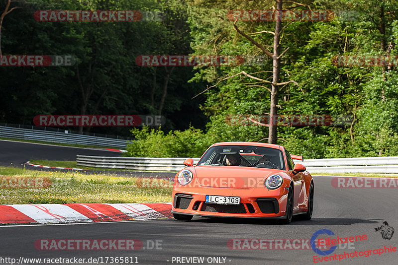 Bild #17365811 - Touristenfahrten Nürburgring Nordschleife (18.06.2022)