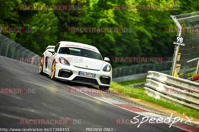 Bild #17388455 - Touristenfahrten Nürburgring Nordschleife (18.06.2022)