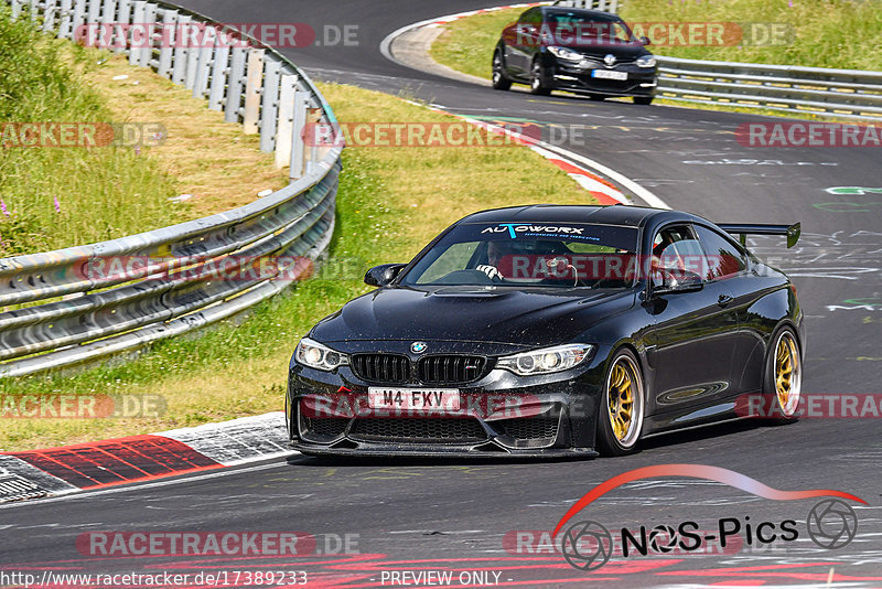 Bild #17389233 - Touristenfahrten Nürburgring Nordschleife (18.06.2022)