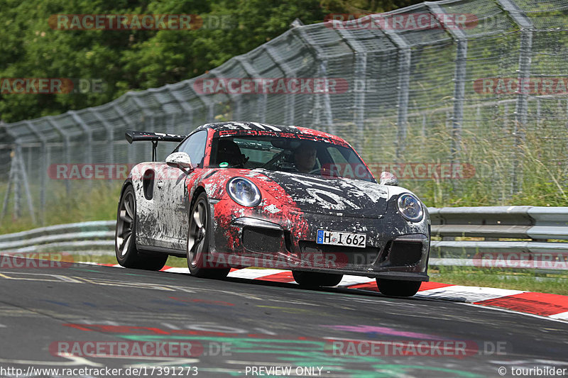 Bild #17391273 - Touristenfahrten Nürburgring Nordschleife (18.06.2022)