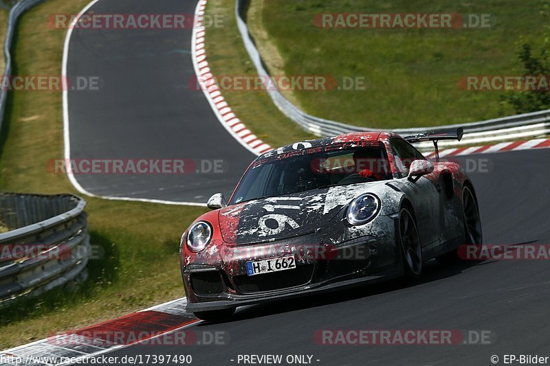 Bild #17397490 - Touristenfahrten Nürburgring Nordschleife (18.06.2022)