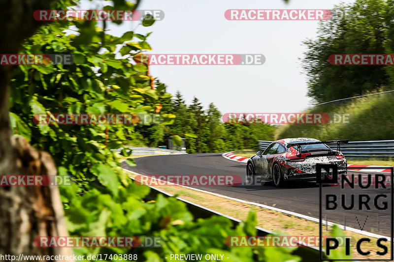 Bild #17403888 - Touristenfahrten Nürburgring Nordschleife (18.06.2022)