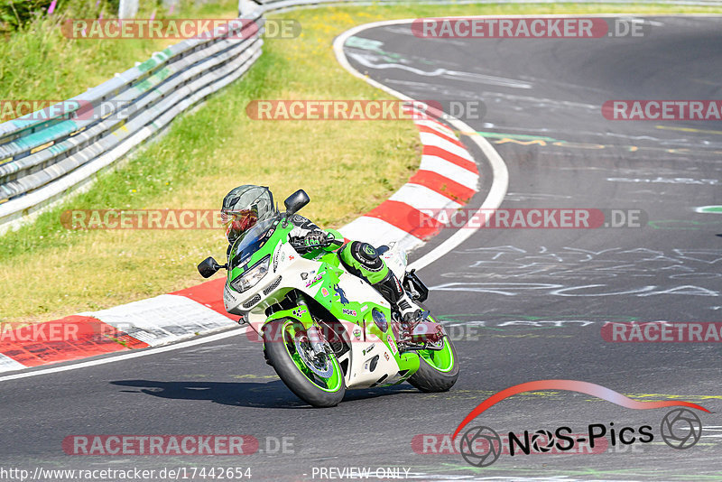 Bild #17442654 - Touristenfahrten Nürburgring Nordschleife (19.06.2022)